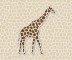 giraffe-background_881995