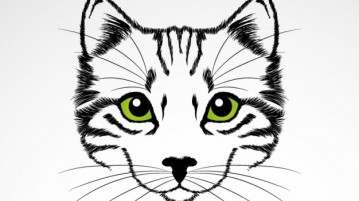 green-eyes-cat-vector-art_23-2147493584