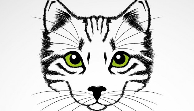 green-eyes-cat-vector-art_23-2147493584